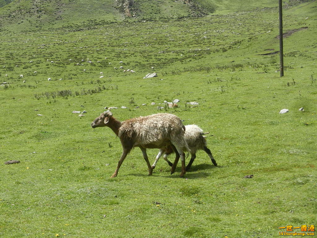 DSCN8627.JPG