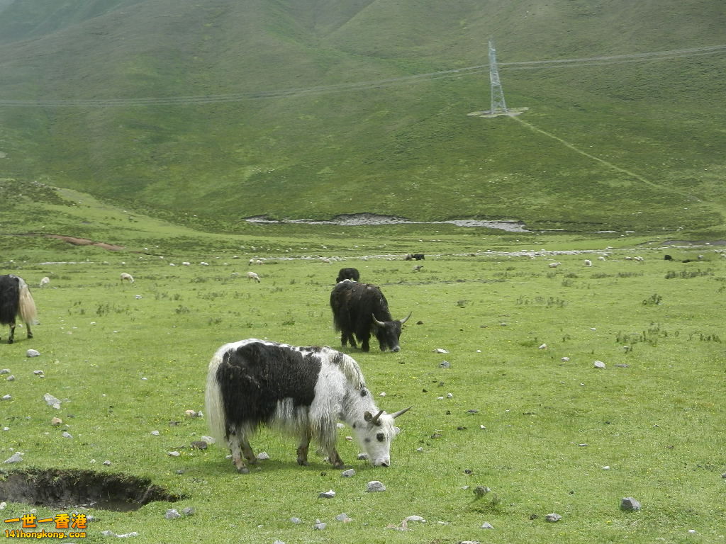 DSCN8585.JPG
