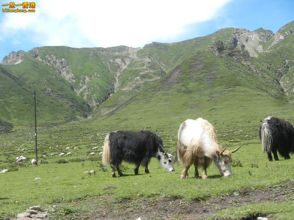 DSCN8642.JPG