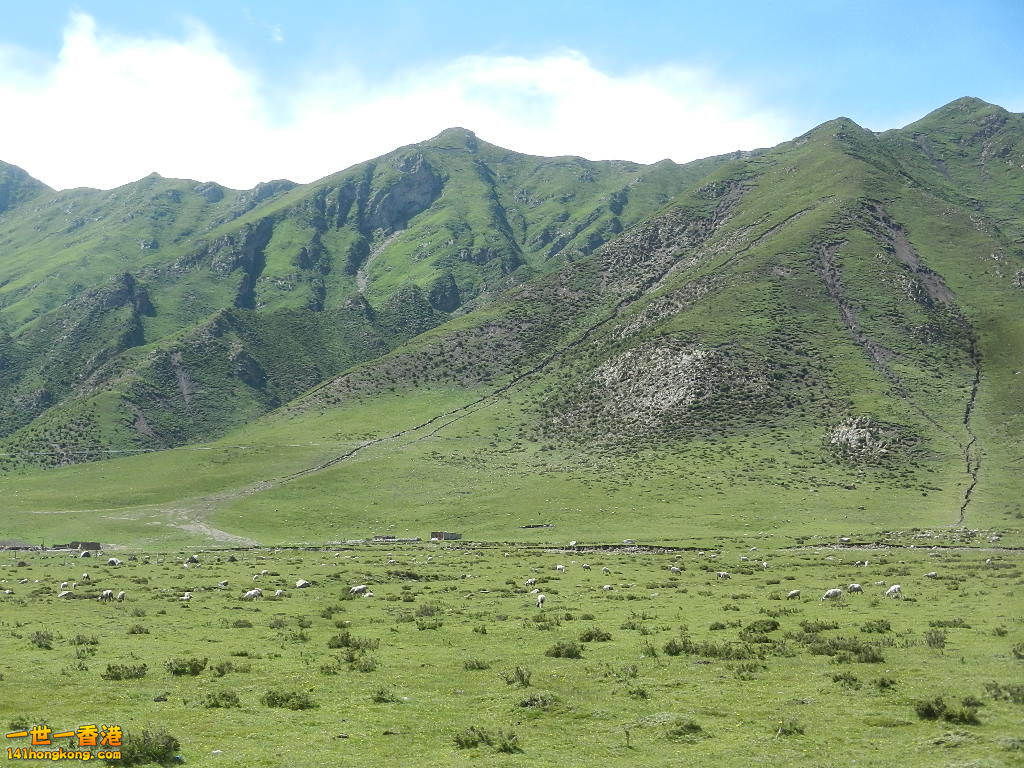 DSCN8645.JPG