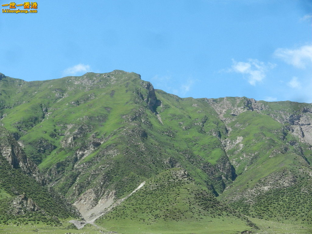 DSCN8654.JPG