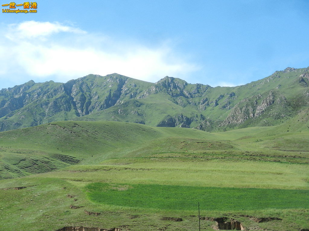 DSCN8671.JPG