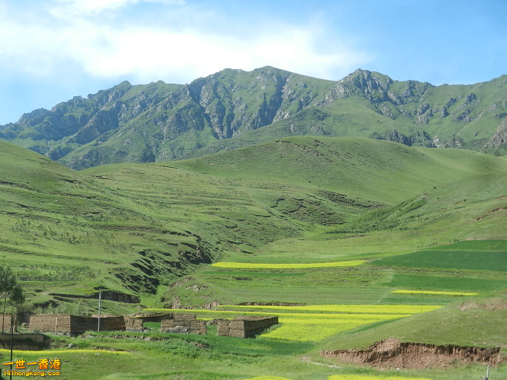 DSCN8673.JPG