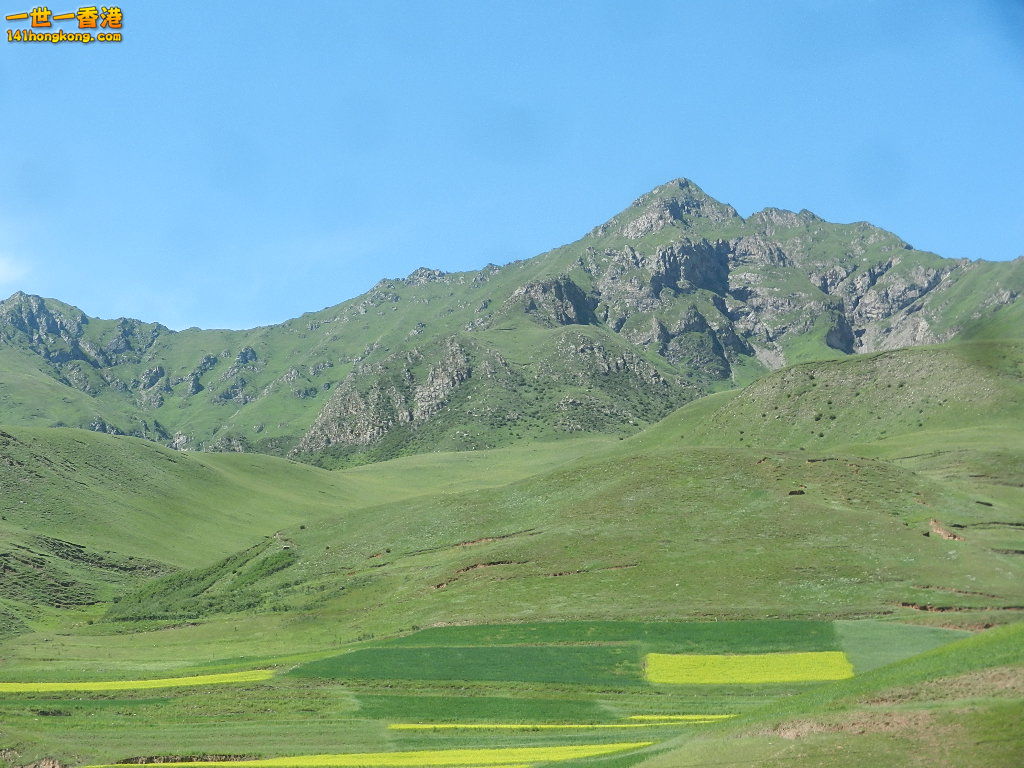 DSCN8674.JPG