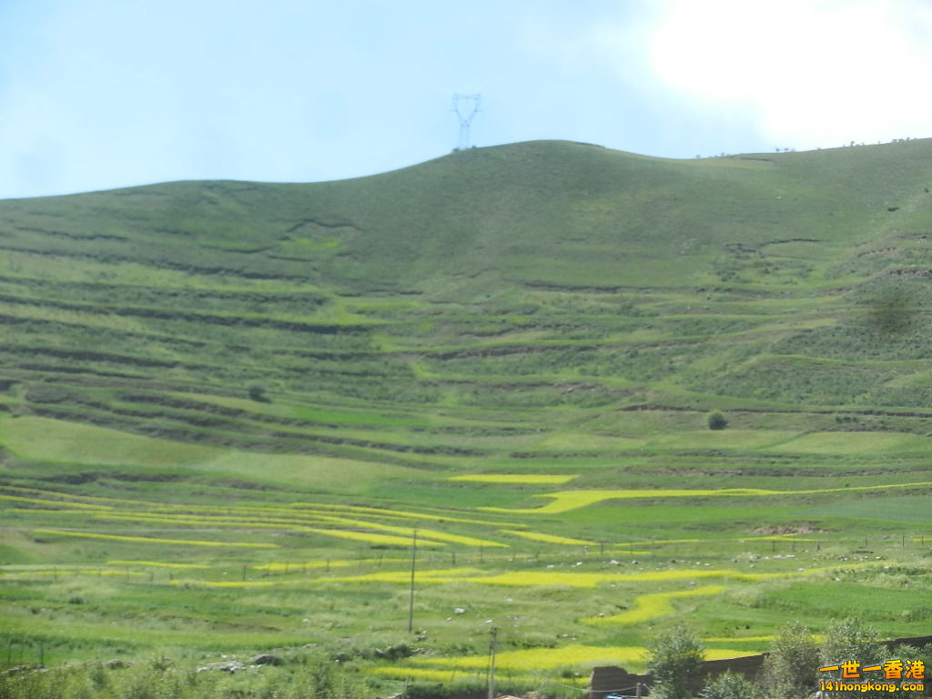 DSCN8682.JPG