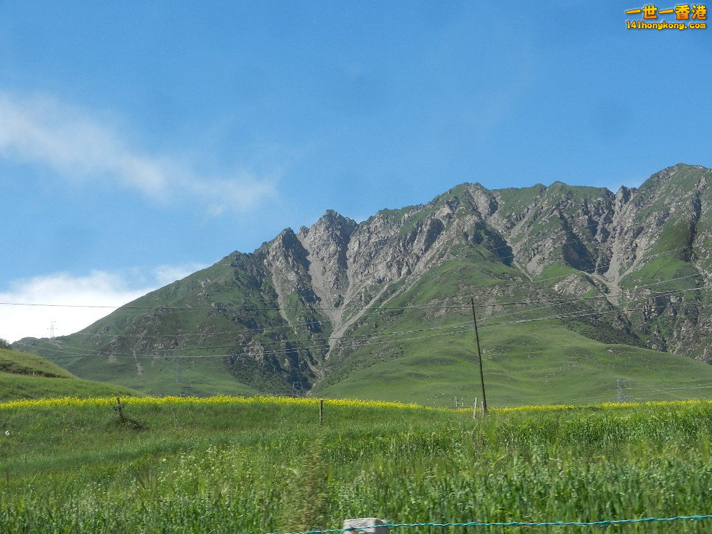 DSCN8697.JPG