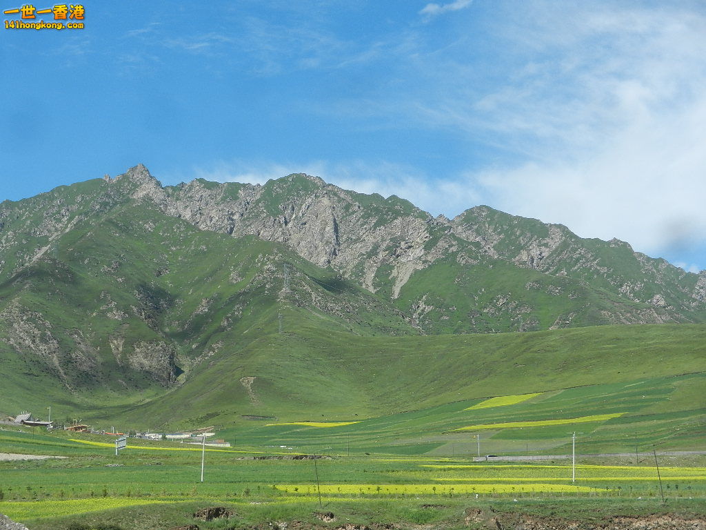 DSCN8711.JPG
