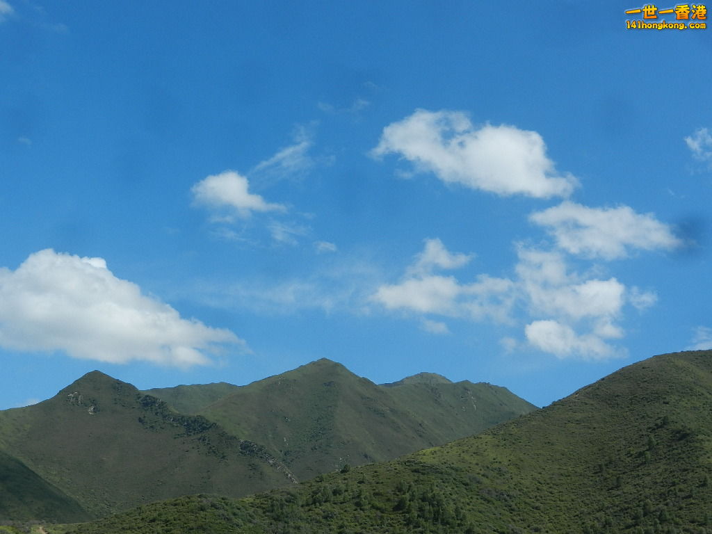 DSCN8728.JPG