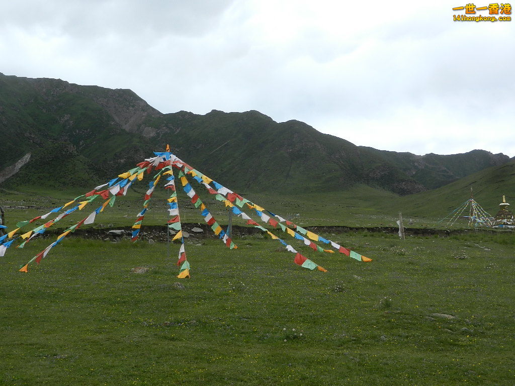 DSCN8564.JPG