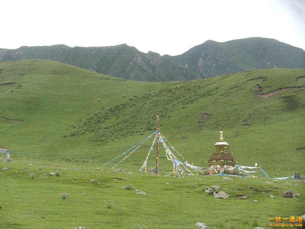 DSCN8568.JPG