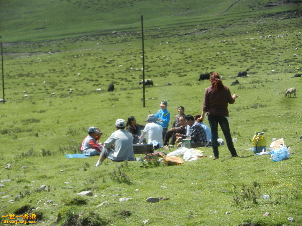 DSCN8615.JPG