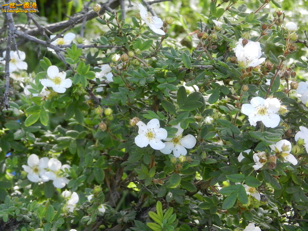 DSCN8813.JPG