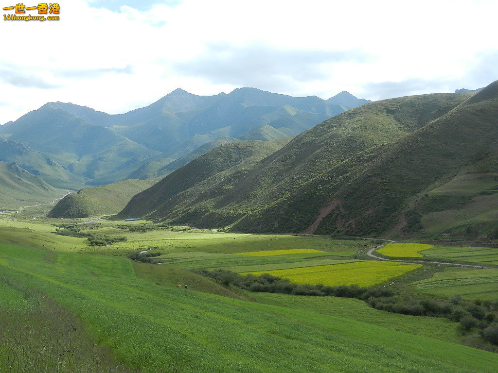 DSCN9391.JPG