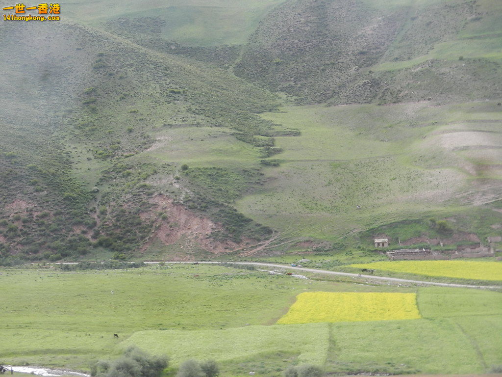 DSCN9395.JPG