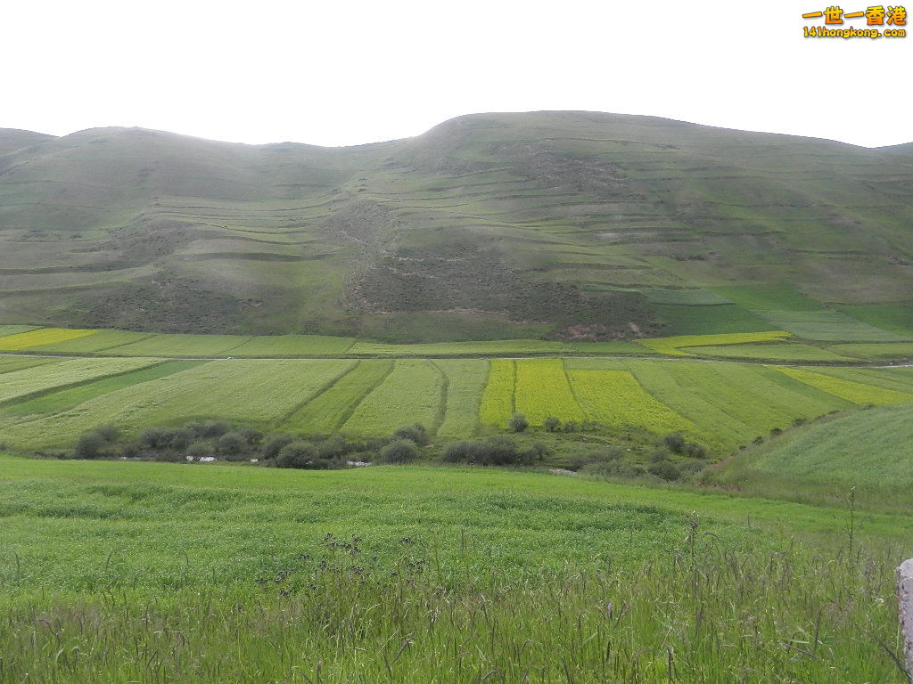 DSCN9394.JPG