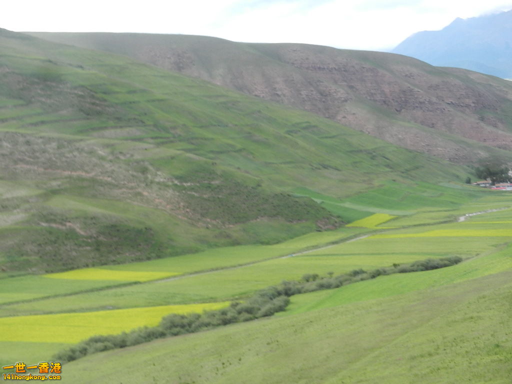 DSCN9399.JPG