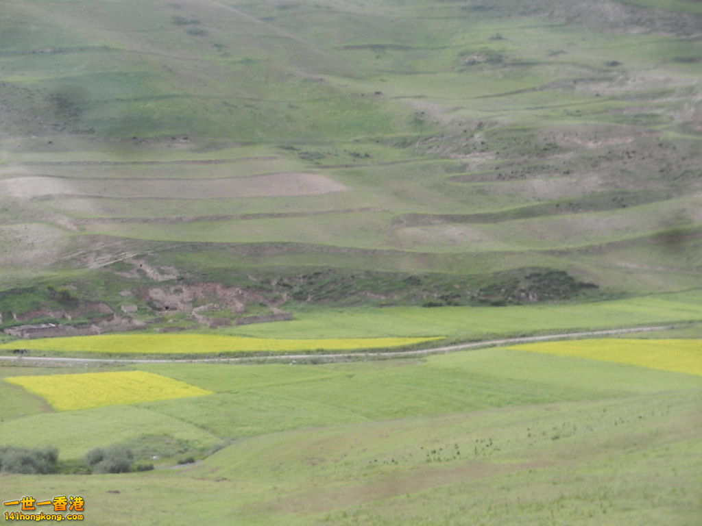 DSCN9398.JPG