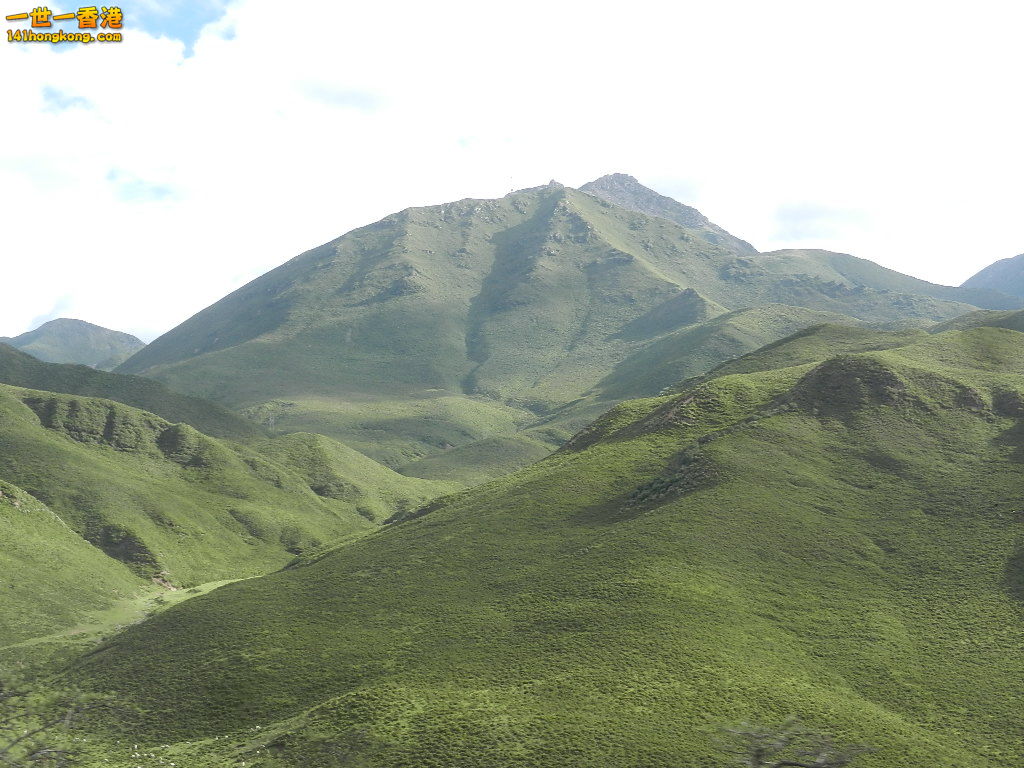 DSCN9414.JPG