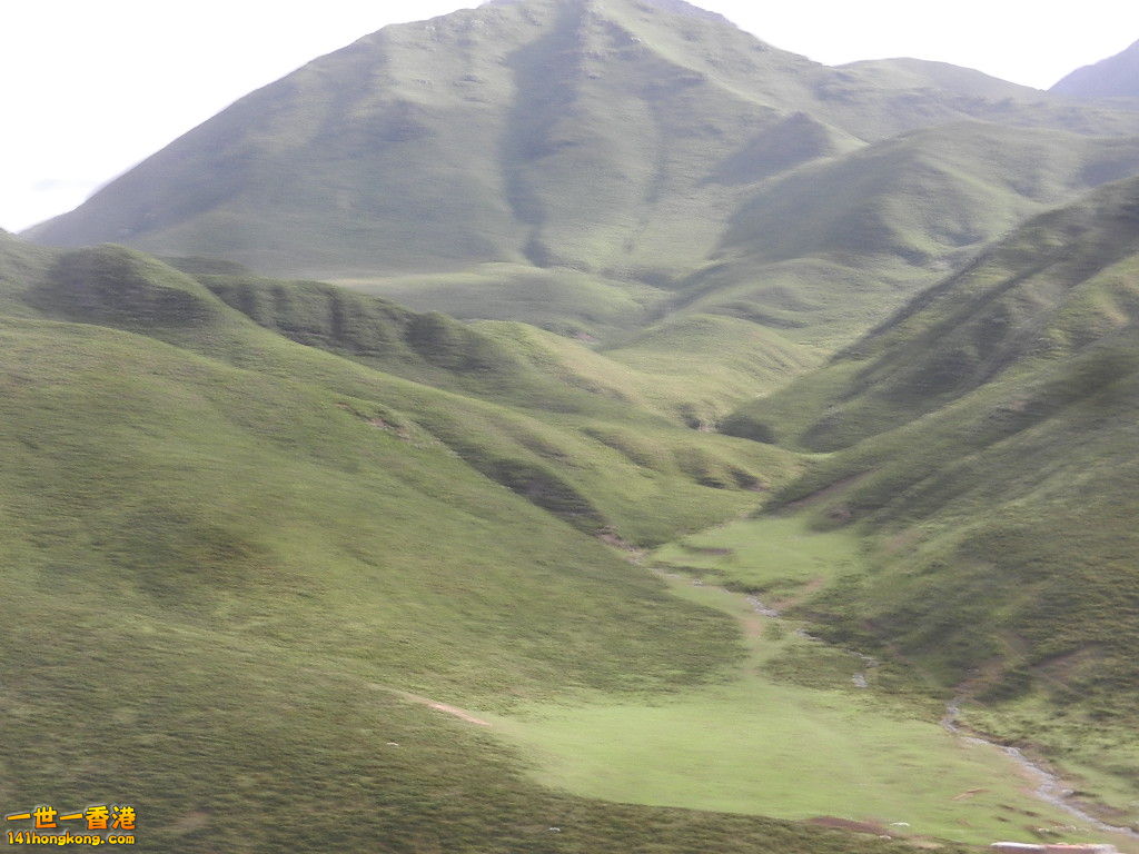 DSCN9417.JPG