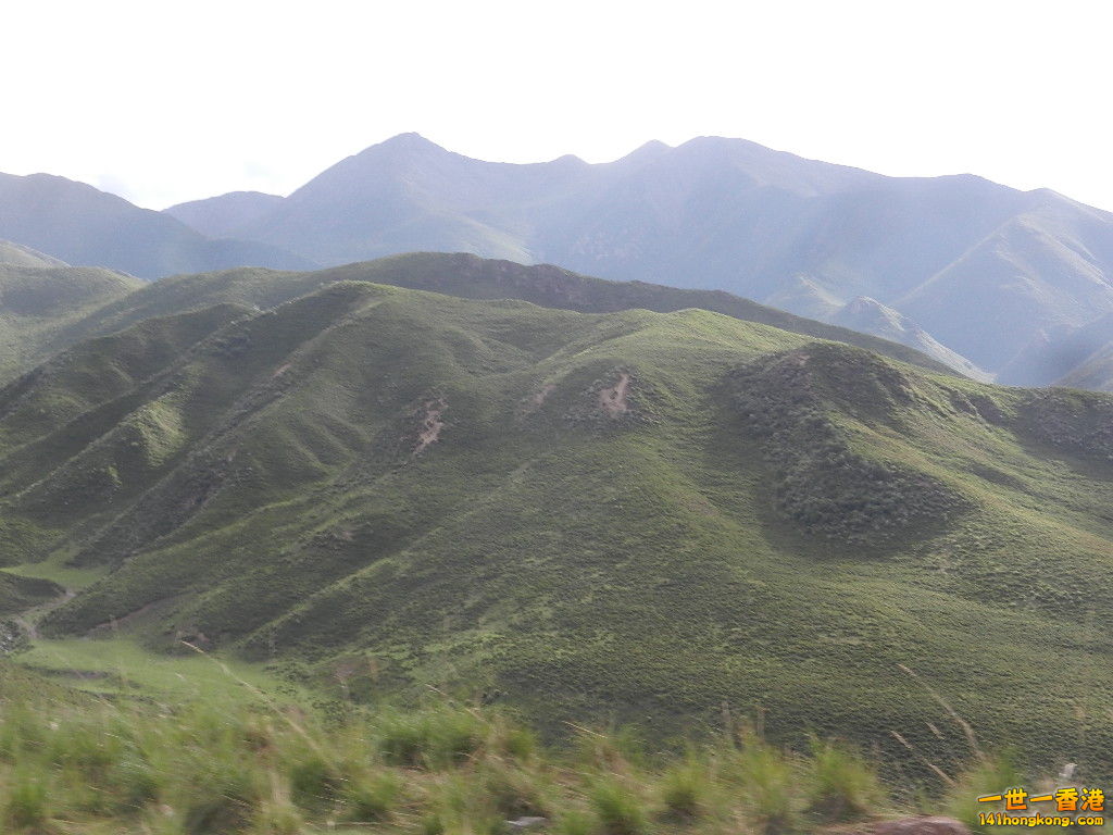 DSCN9420.JPG