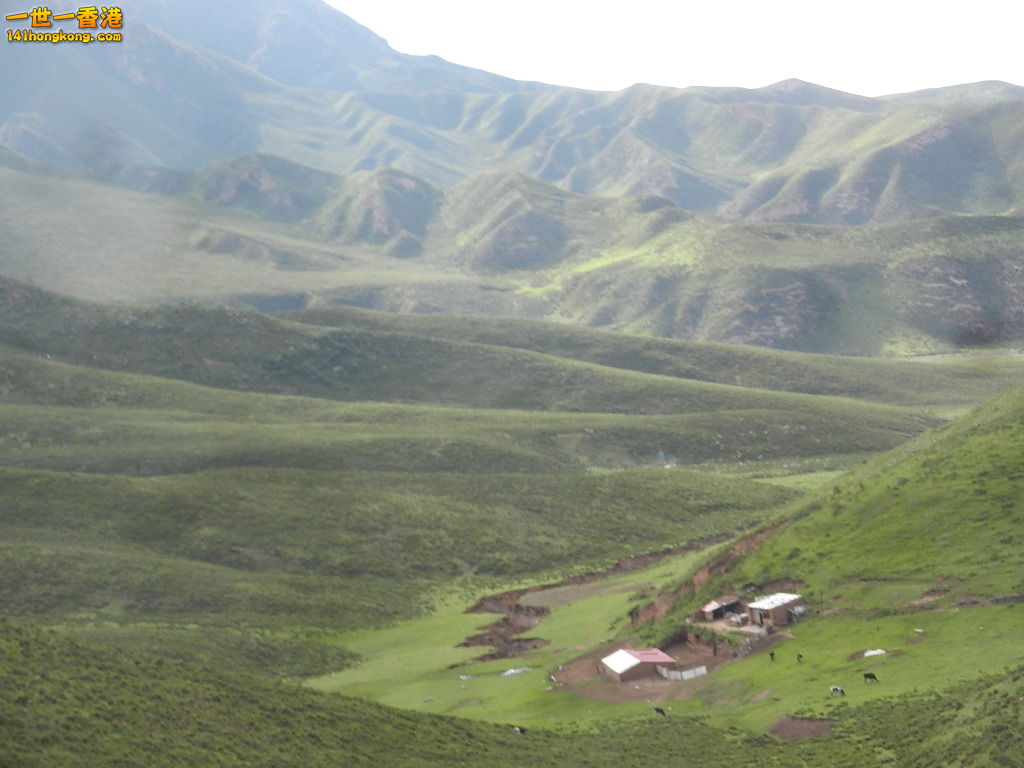 DSCN9425.JPG
