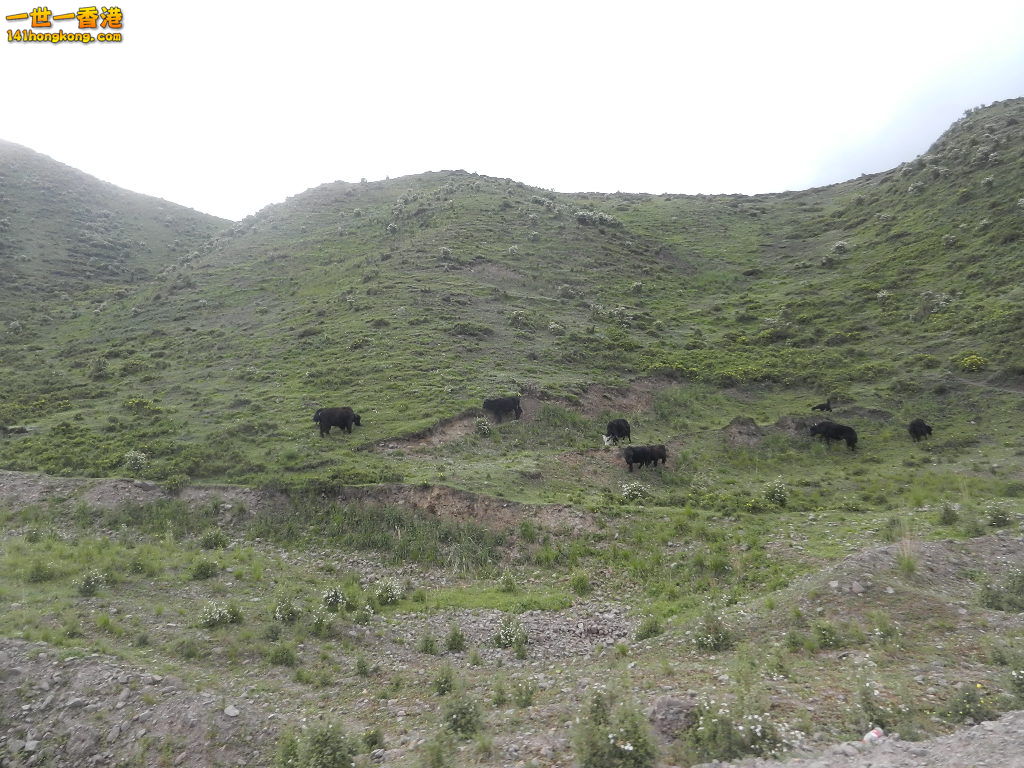 DSCN9429.JPG