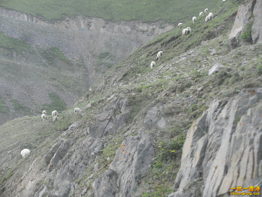 DSCN9491.JPG