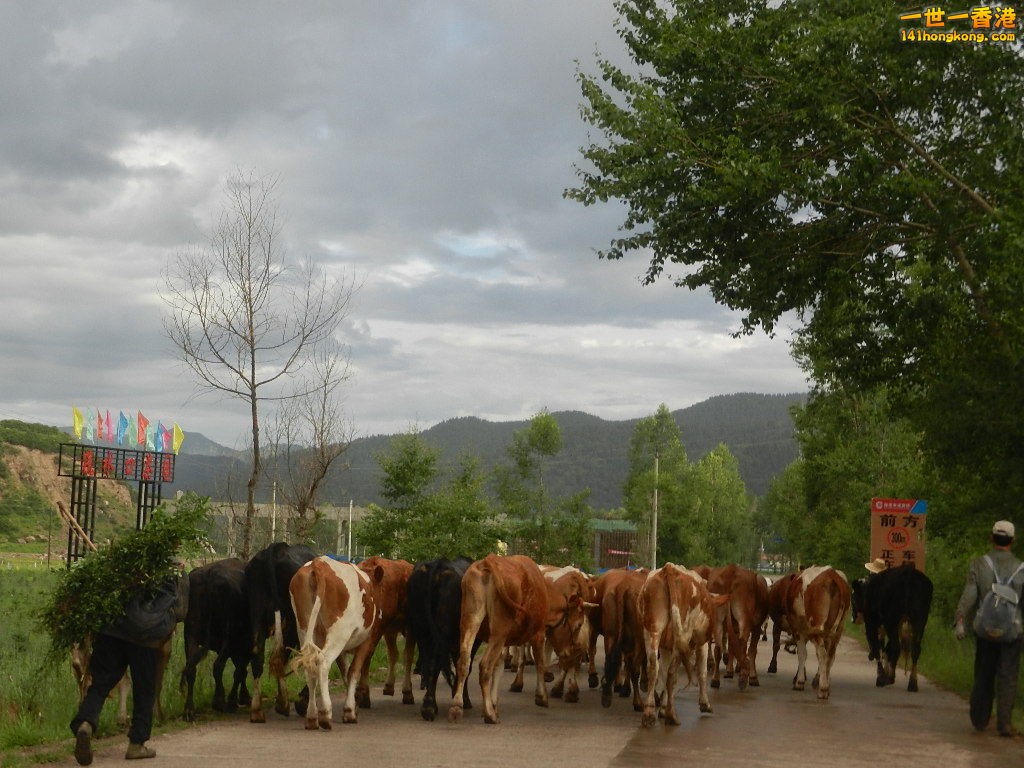 DSCN9532.JPG