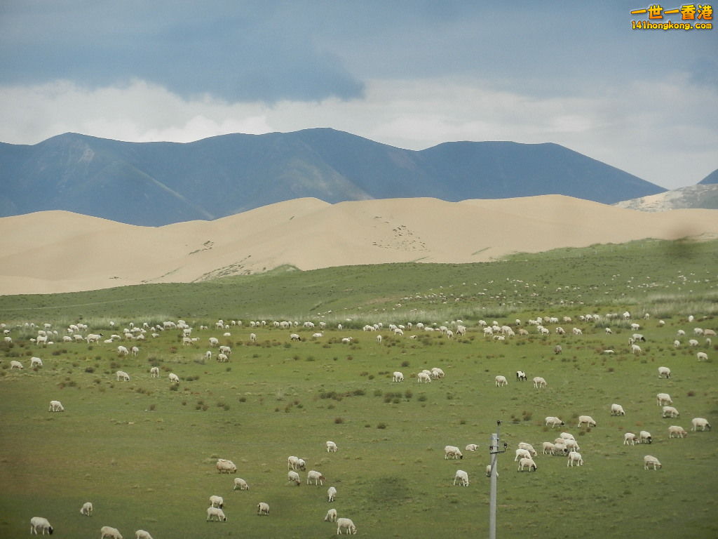 DSCN8210.JPG