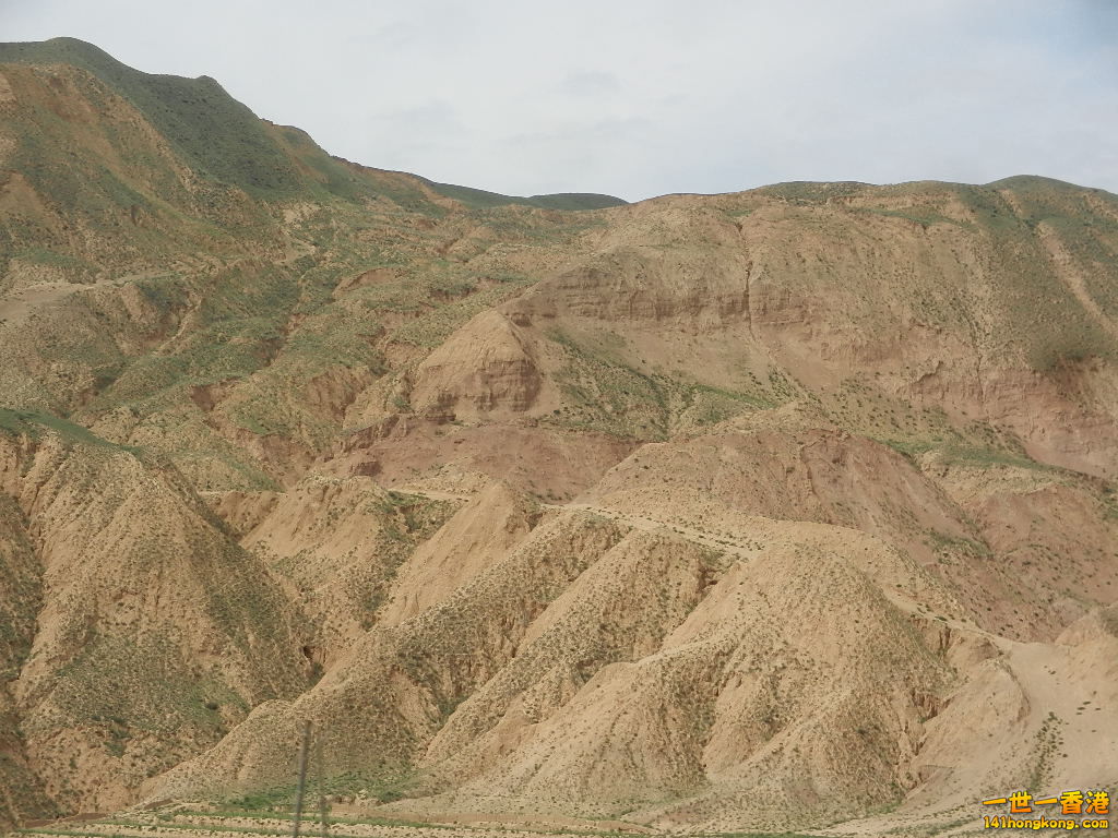 DSCN8297.JPG