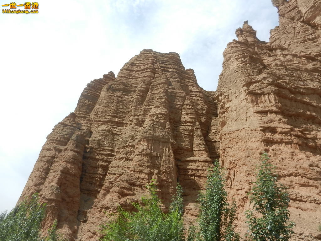 DSCN8370.JPG