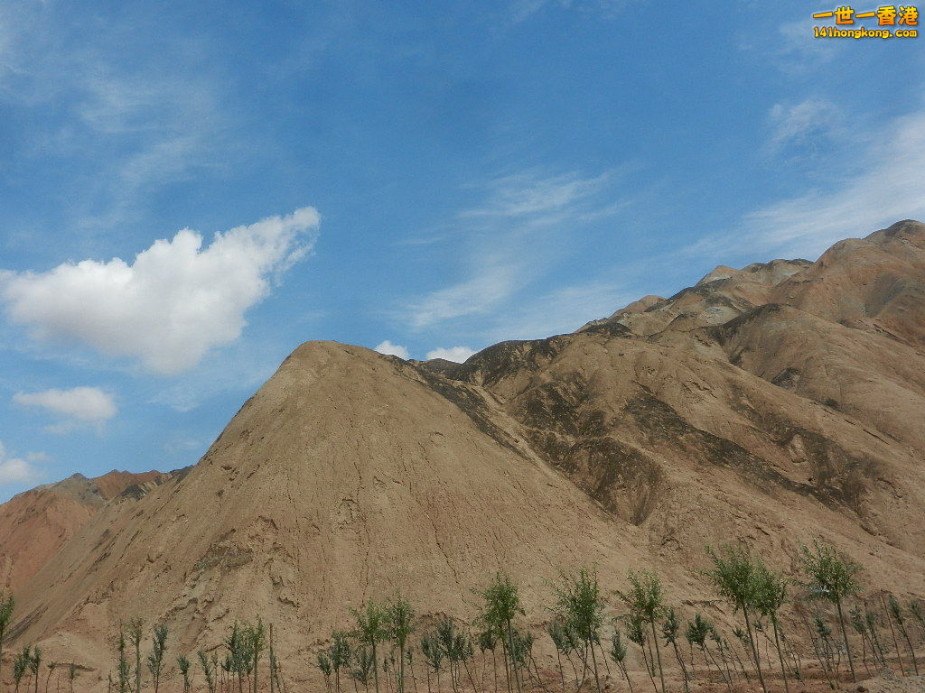 DSCN8386.JPG
