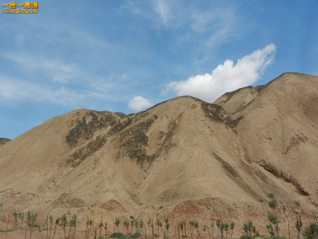 DSCN8385.JPG