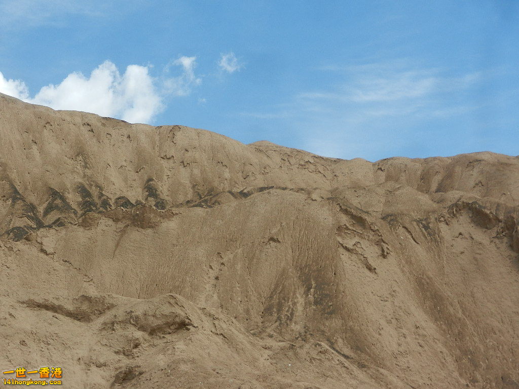 DSCN8391.JPG