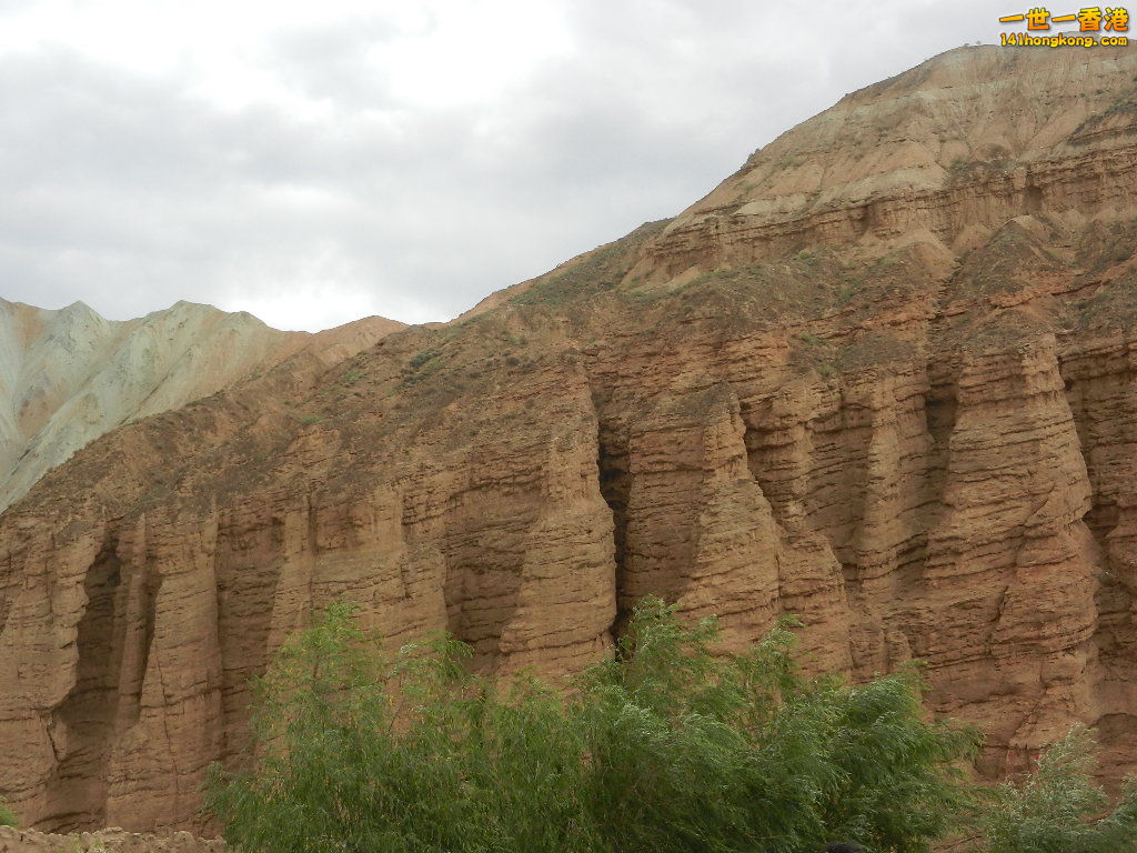 DSCN8505.JPG