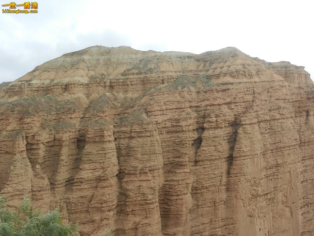 DSCN8504.JPG