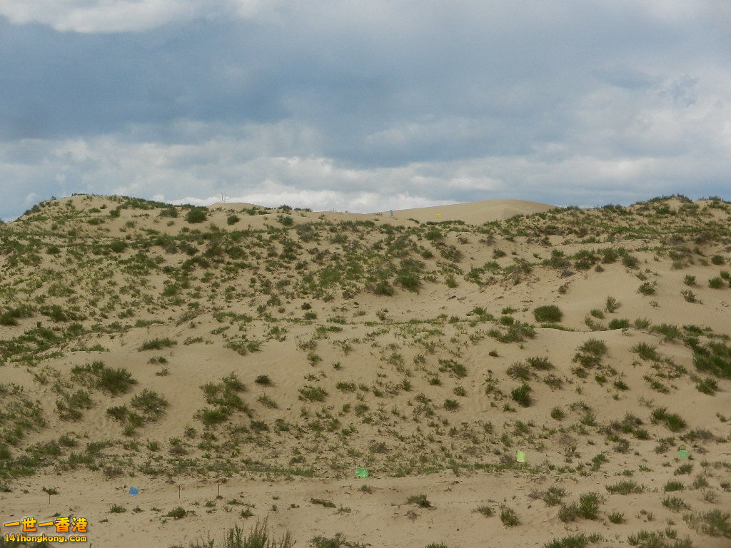 DSCN8184.JPG
