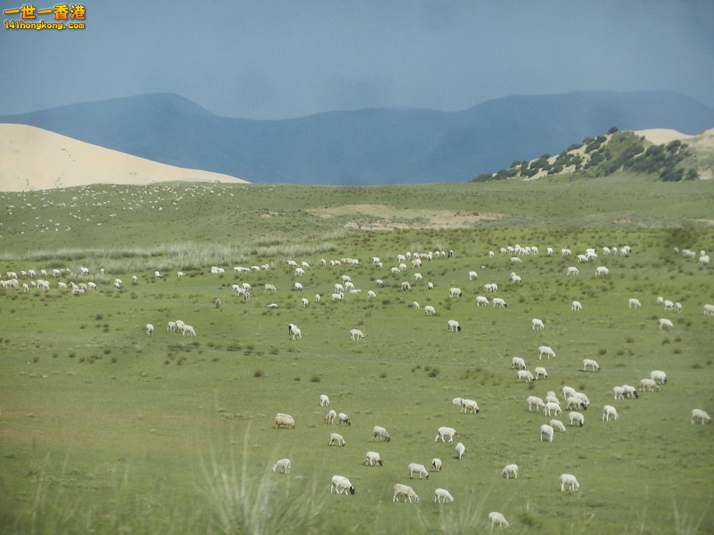 DSCN8211.JPG