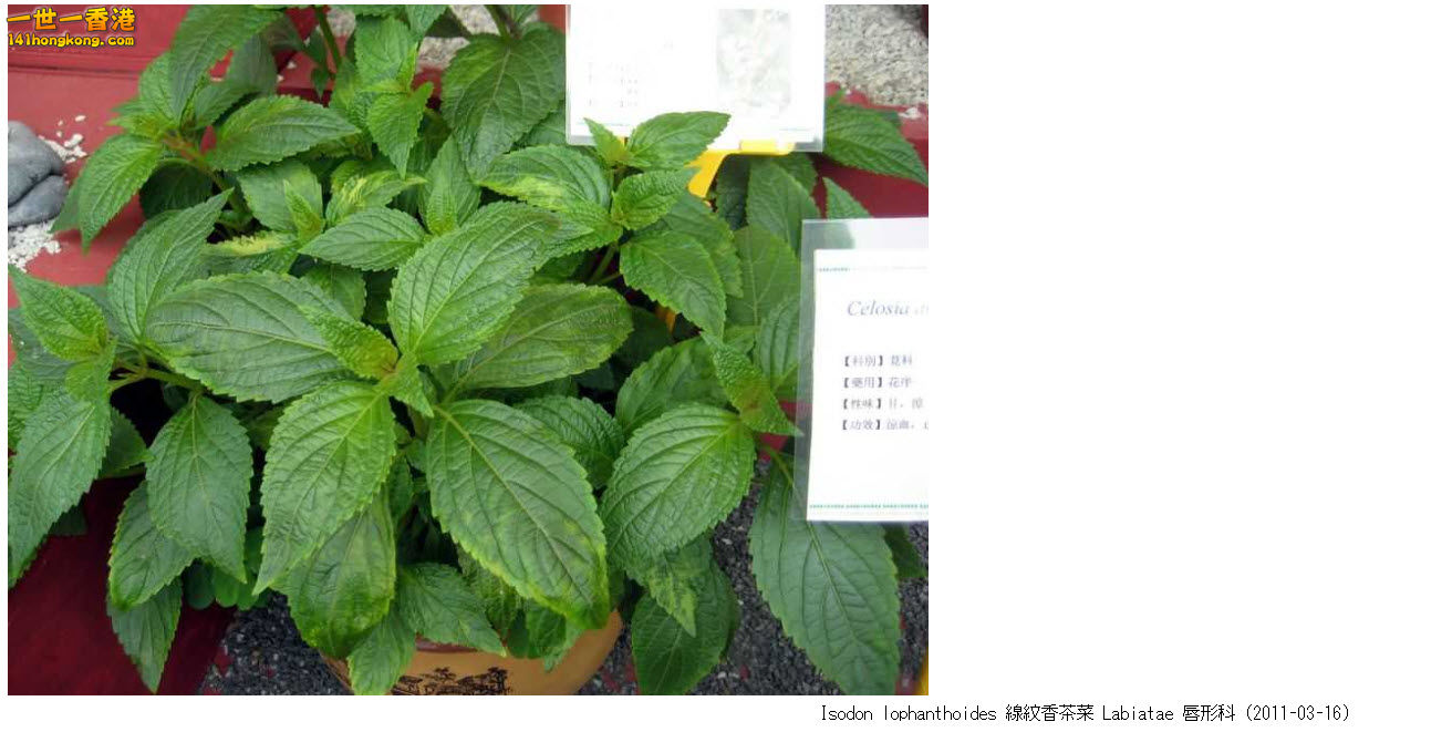 30-7-2015 18-07-03.jpg