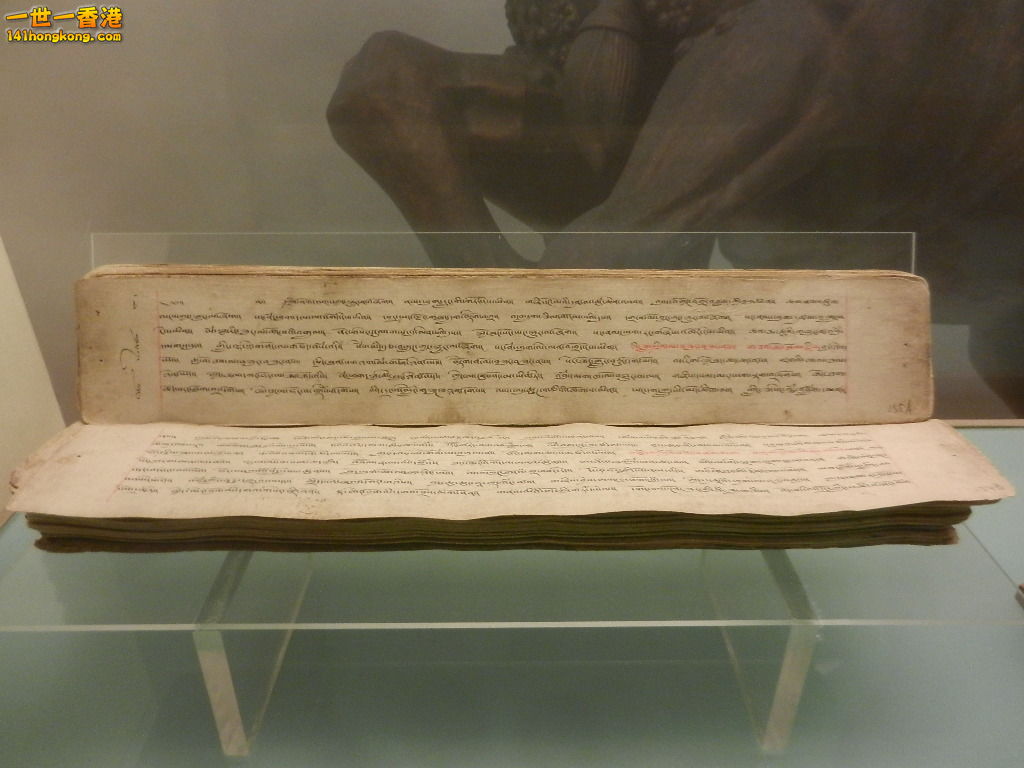 DSCN9608.JPG