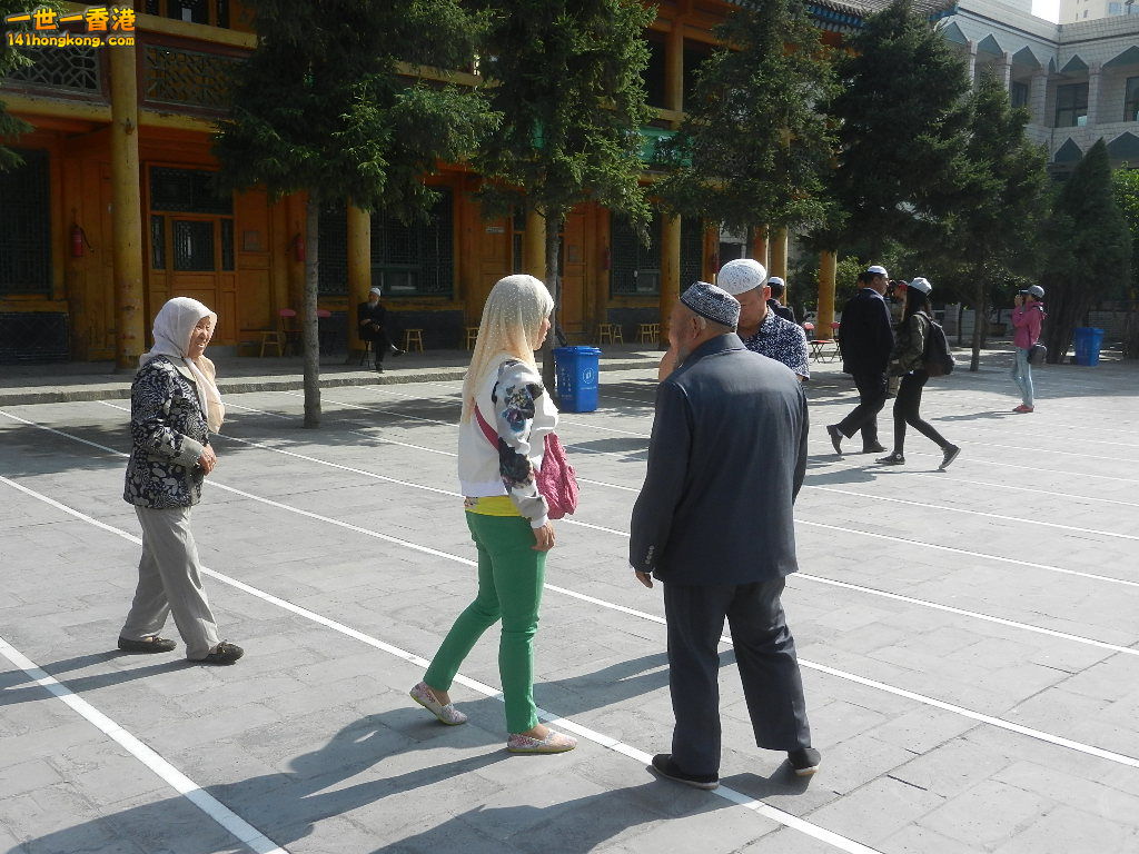 DSCN9564.JPG