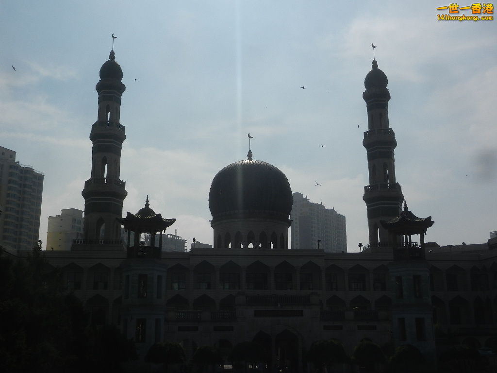 DSCN9569.JPG