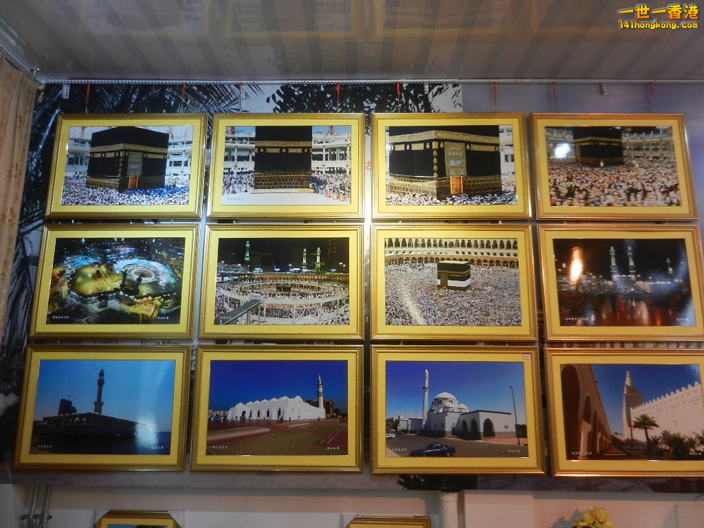 DSCN9576.JPG