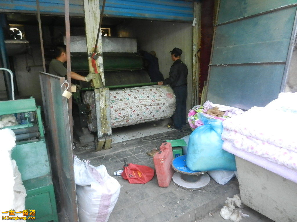 DSCN7251.JPG