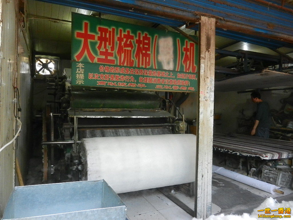 DSCN7256.JPG