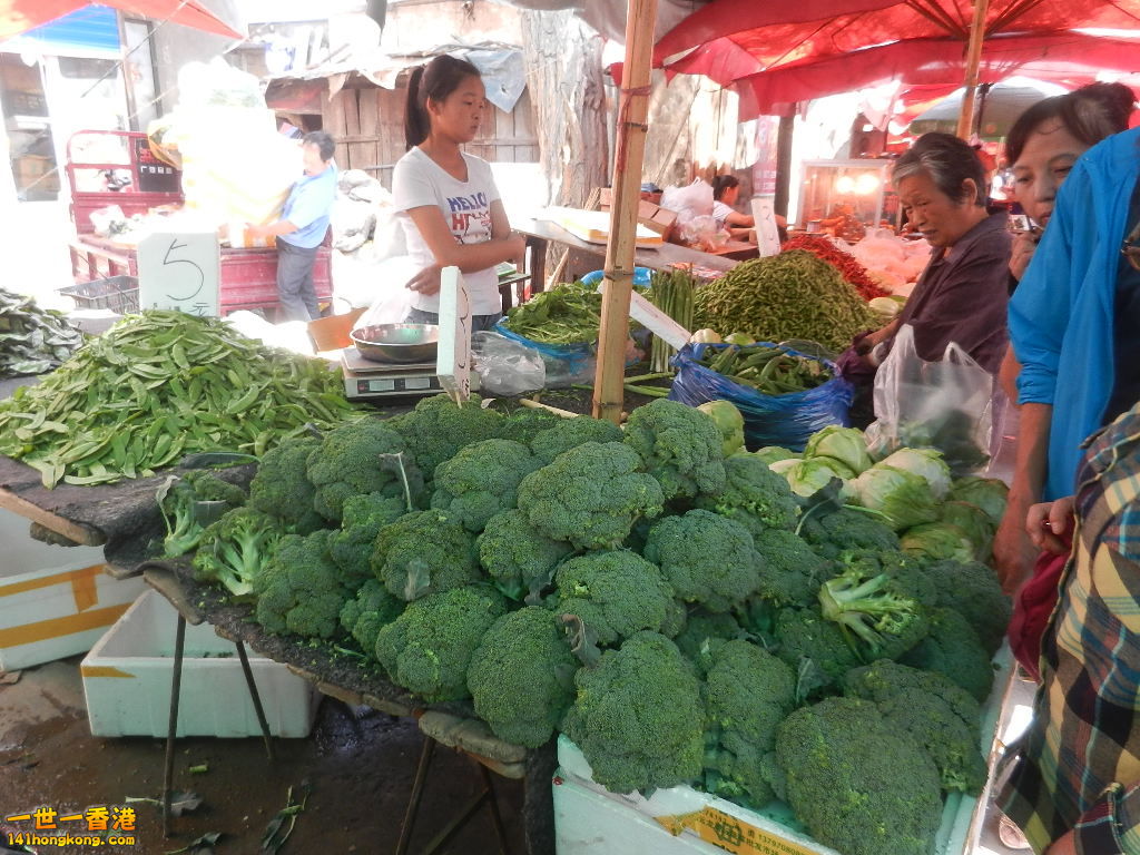 DSCN7257.JPG
