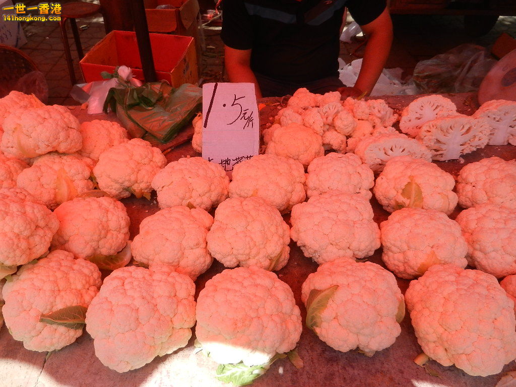 DSCN7258.JPG