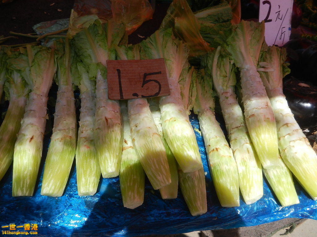 DSCN7262.JPG