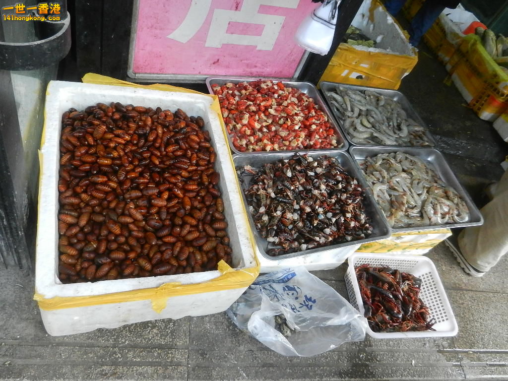 DSCN9543.JPG