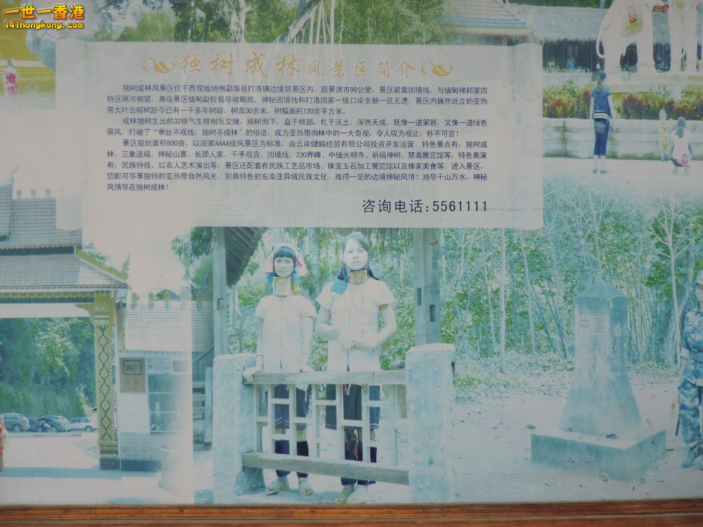 DSCN0290.jpg